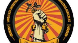 download__5_-removebg-preview (1)