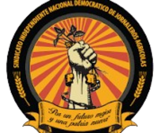 download__5_-removebg-preview (1)